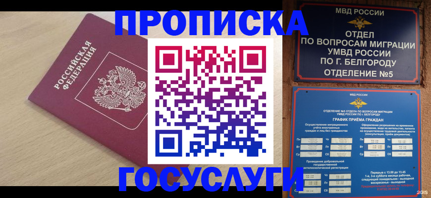 прописка законно в Гулькевичах